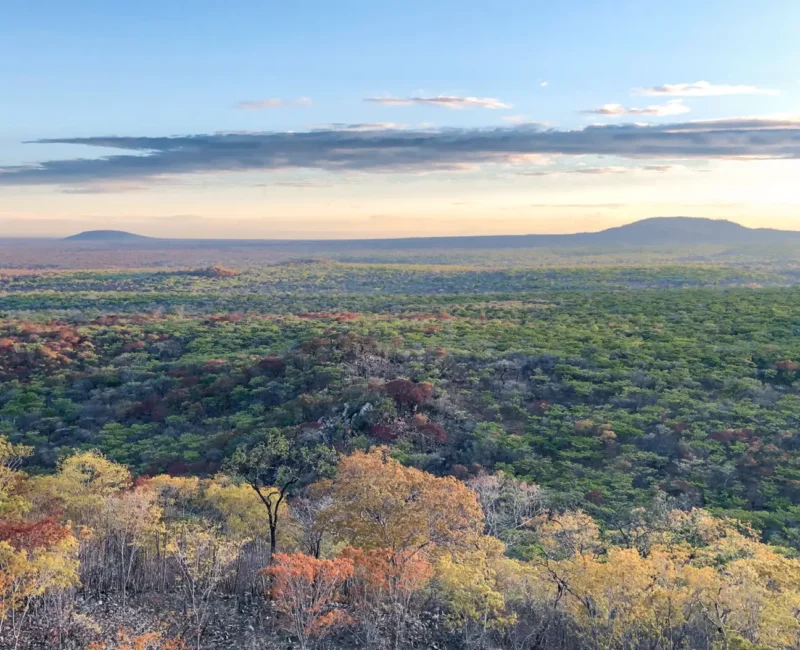 What's the Best Time to Visit Ruaha National Park for Wildlife Viewing?