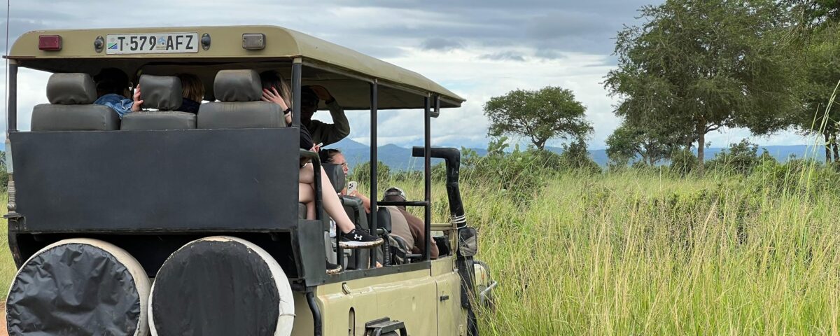 Are There Any Guided Game Drives Available in Mikumi?