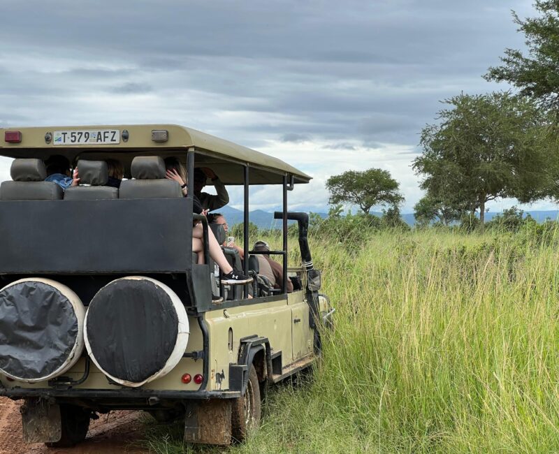 Are There Any Guided Game Drives Available in Mikumi?